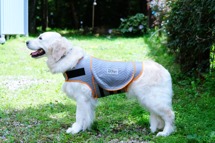 サンダーシャツ Thundershirt