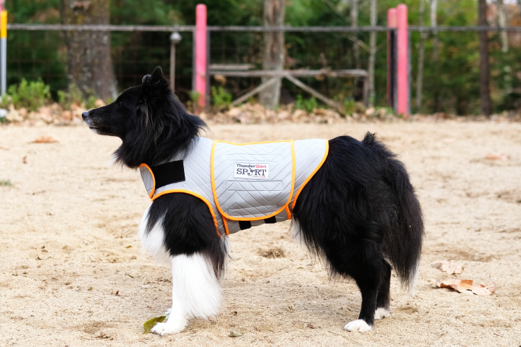 サンダーシャツ Thundershirt