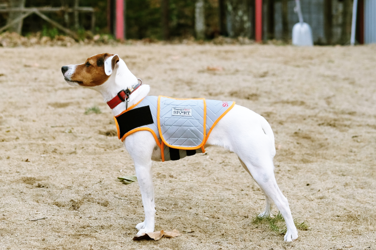 サンダーシャツ Thundershirt